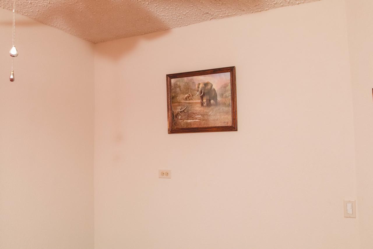Frontline Apartments Κράιστ Τσερτς Εξωτερικό φωτογραφία